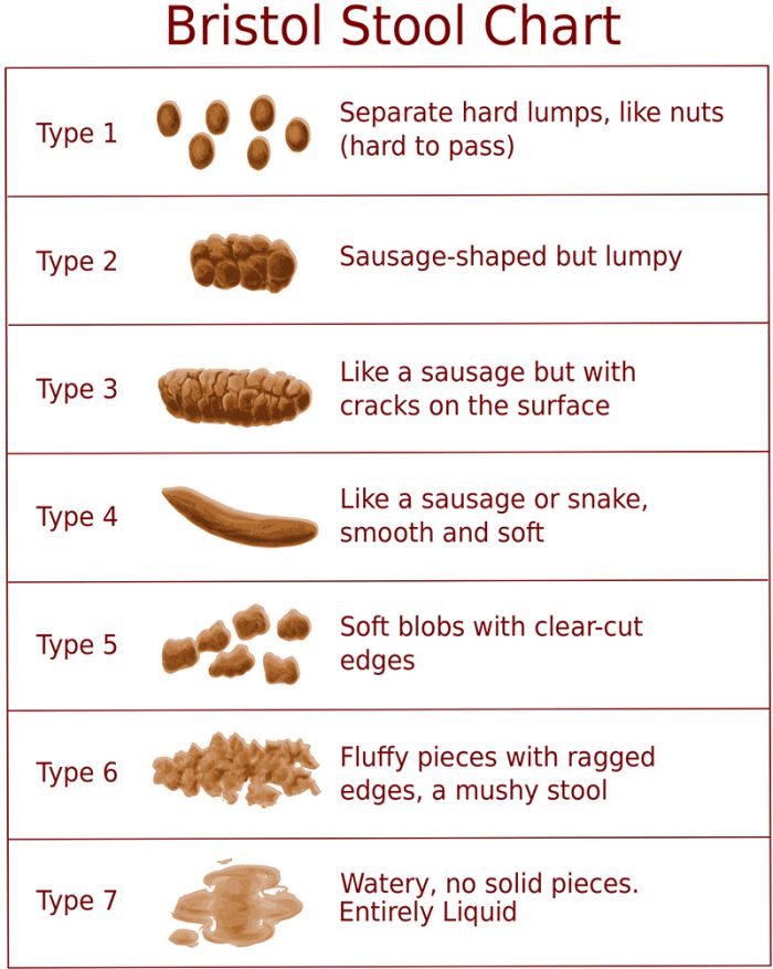 Light Colored Stool What Is, Symptoms & Causes