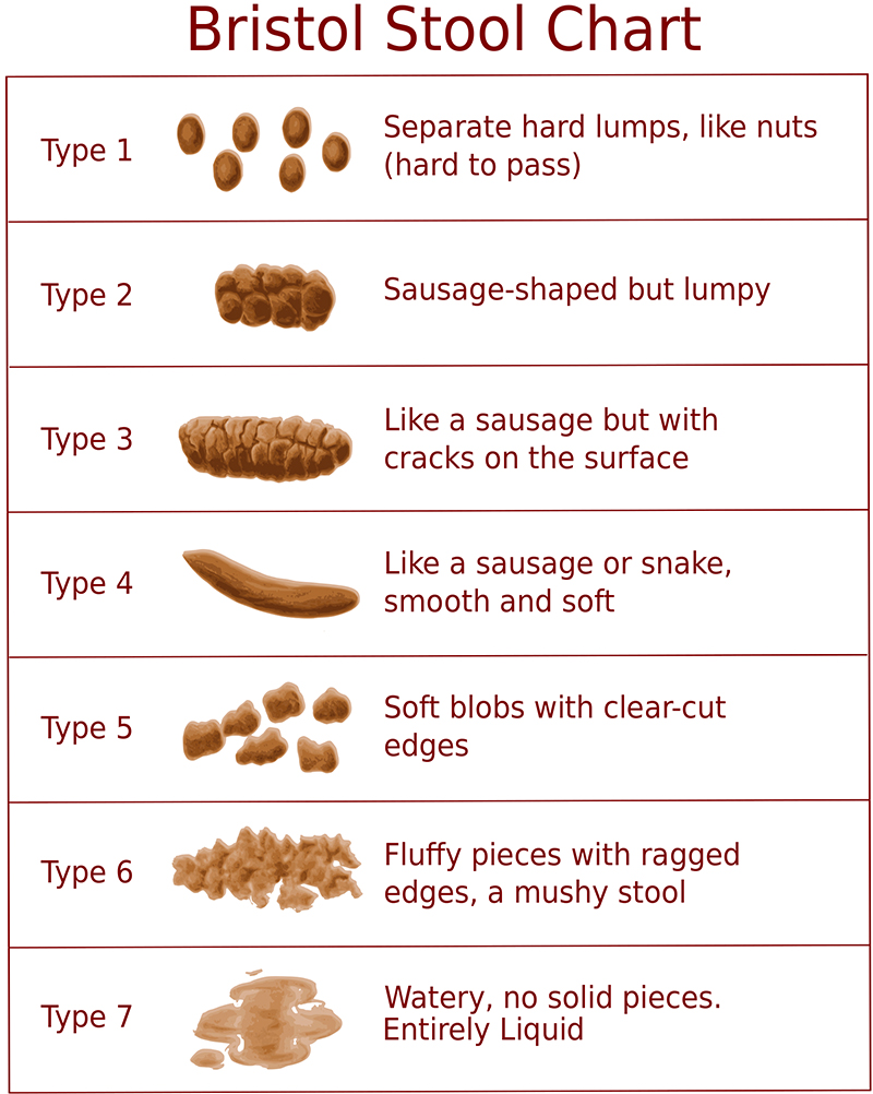 Toddler Poop Color Chart Photos What Helps Babies Poop Examples And